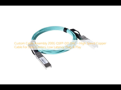 Assemblage de câble personnalisé 200G QSFP-DD DAC